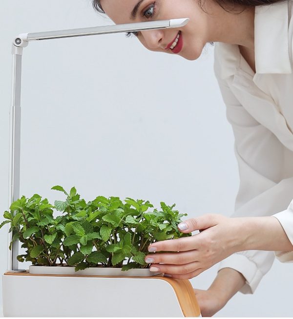 Durable Hydroponic Flower Pot with Ventilation - Image 5